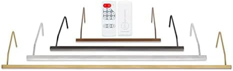 Situ Lighting: Plug-in Vision Series Remote Controlled LED Art and Picture Light