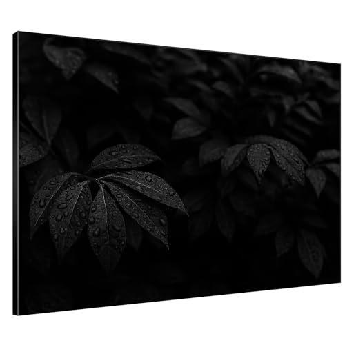 36"x46" Extra Large Framed Wall Art Black and White Botanical Leaves with Raindrops for Home Living Room Bedroom Decor