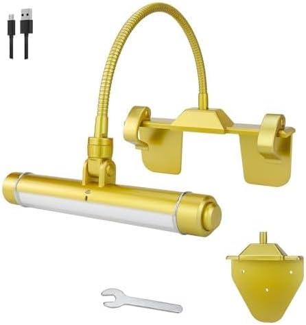 BIGMONAT Wireless Picture Light