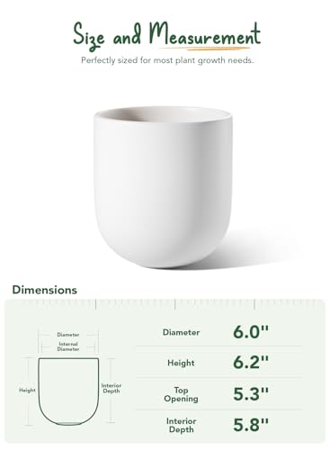 6 Inch Plant Pot