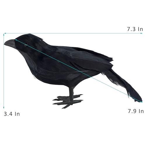 6 Pack Halloween Birds (6 Count)