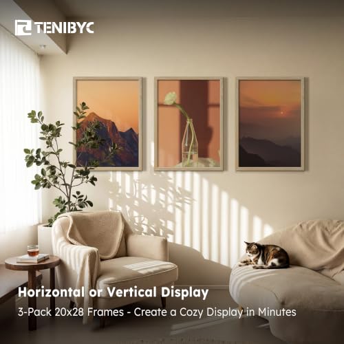 20x28 Picture Frame (3 Count)