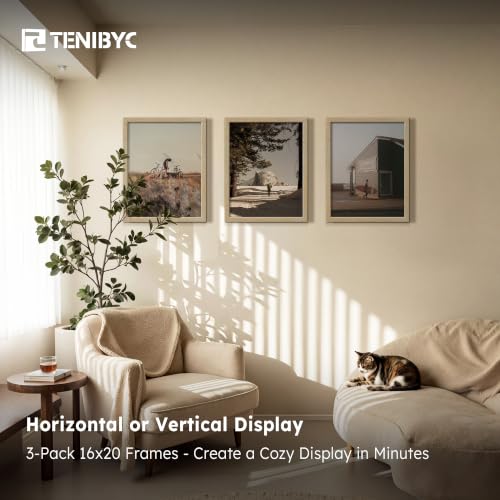 16x20 Picture Frame 3 Pack (3 Count)