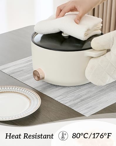 Lightsteel Black Placemats Set of 12 (12 Count)