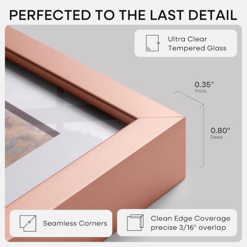 9x12 Rose Picture Frame (2 Count)