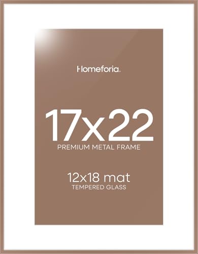17x22 Mocha Picture Frame