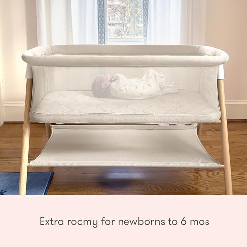 Essential Bassinet