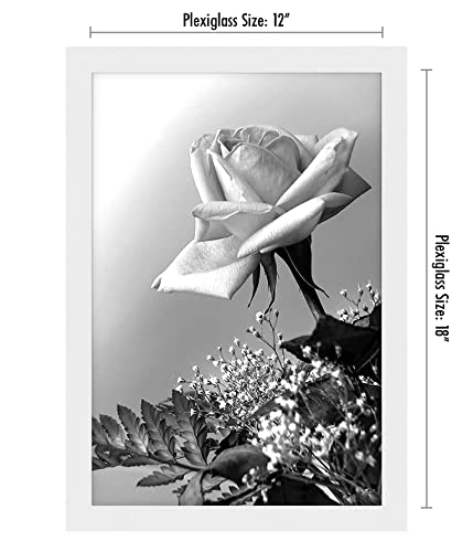 12x18 Poster Frame