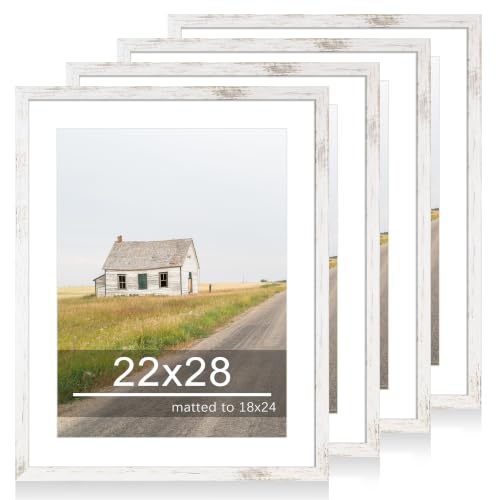 22x28 Picture Frame Set of 4