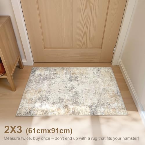 2x3 Entryway Area Rug (2 Sq Ft)