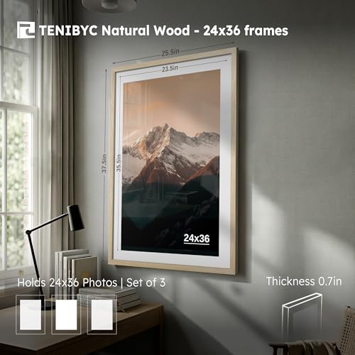 24x36 Poster Frame (3 Count)