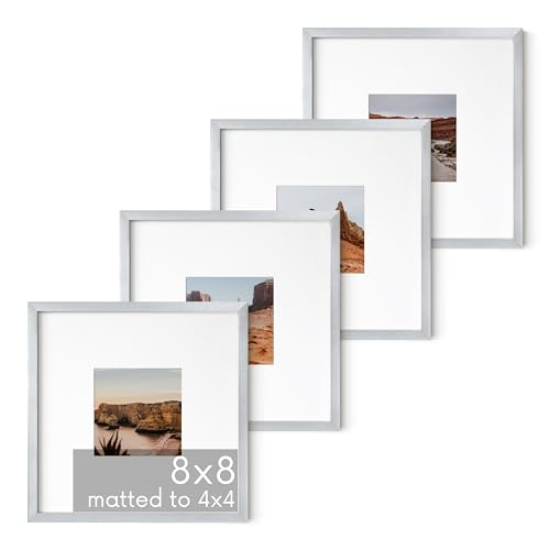 8x8 Silver Metal Picture Frames Matted to 4x4
