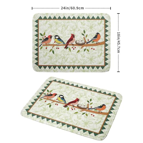 Spring Dish Drying Mat for Kitchen Counter Cute Bird Summer Super Absorbent Reversible Microfiber Kitchen Countertop Protector Dishes Pad Large 18x24 inch