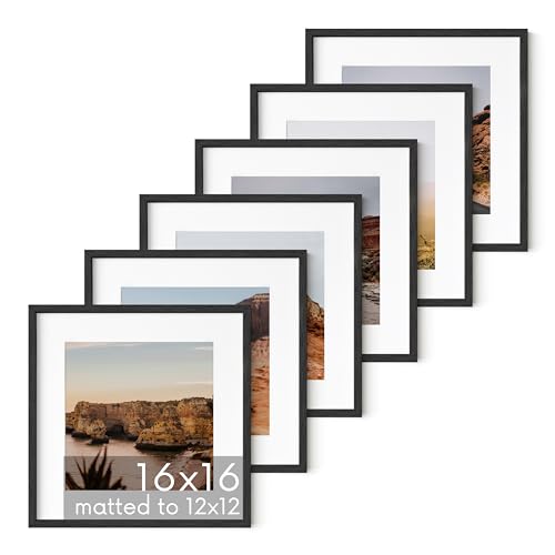 Black Oak Wood 16x16 Picture Frames (6 Count)