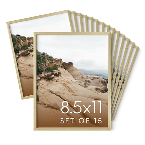 8.5x11 Gold Metal Picture Frames