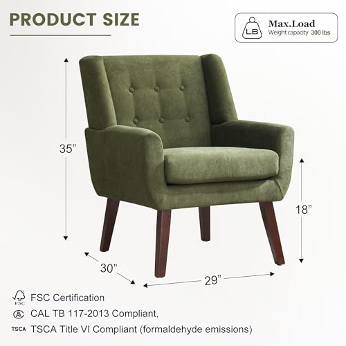 Accent Chair for Living Room
