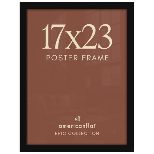17x23 Poster Frame