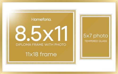 11x18 Gold Diploma Frame (2 Count)