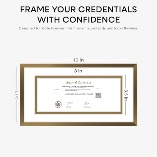 5x10 Bronze License Frame (2 Count)