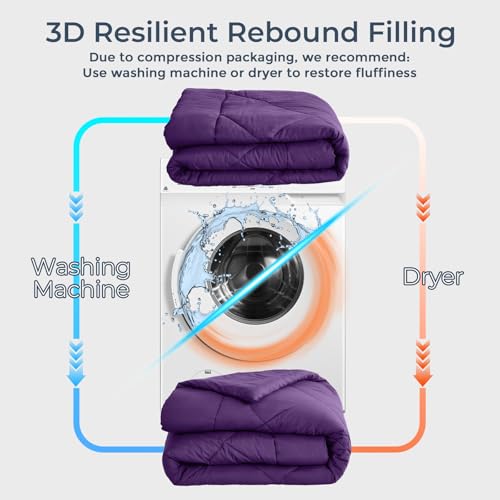 7 Piece King Comforter Set