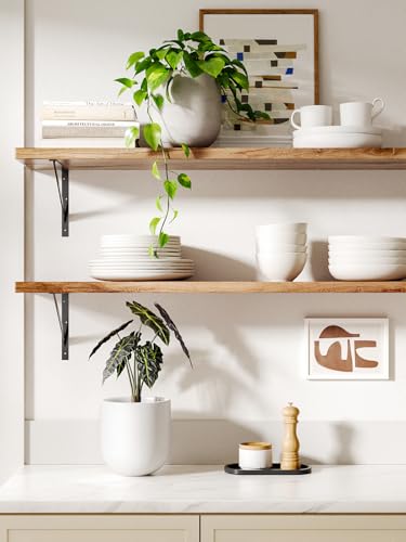 6 Inch Plant Pot