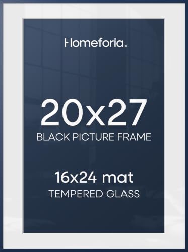 20x27 Blue Picture Frame