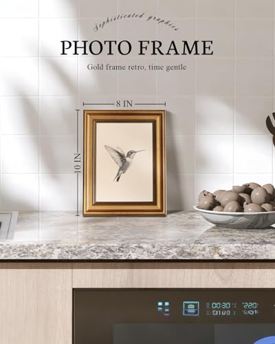 Vintage Gold Framed Wall Art