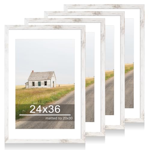 24x36 Picture Frame Set of 4