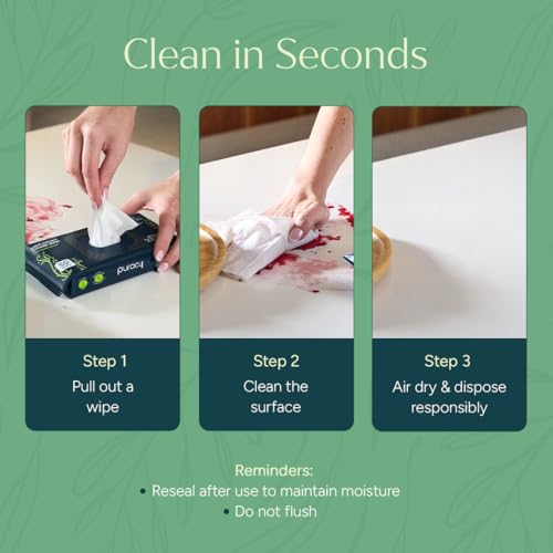 All Purpose Cleaning Wipes (3 Count)