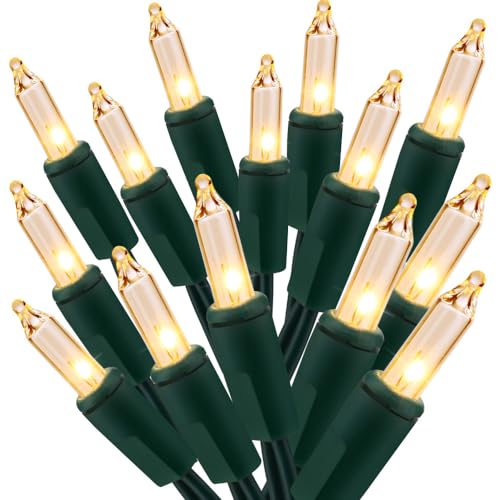 Clear Christmas Lights (50 Count)
