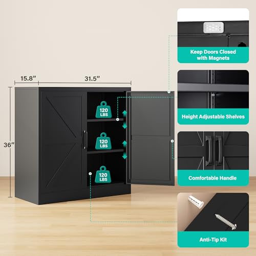Black Storage Cabinet with Doors and Adjustable Shelves