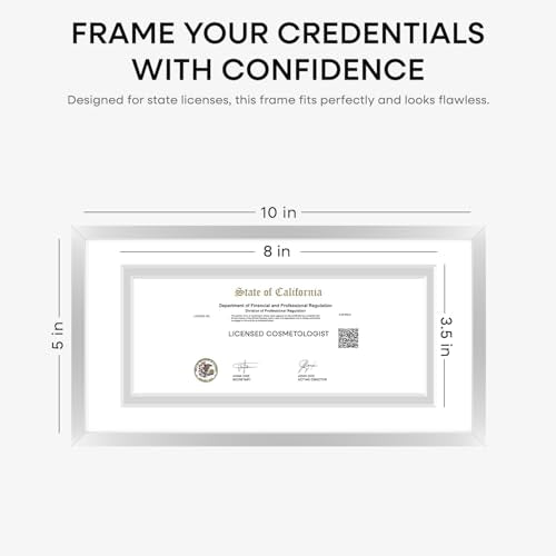 5x10 Silver License Frame