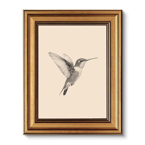 Vintage Gold Framed Wall Art