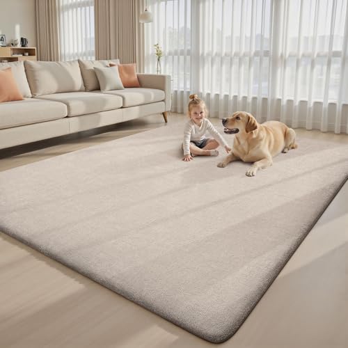 4x6 Area Rugs for Living Room Bedroom