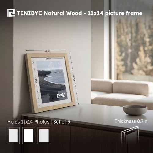 11x14 Picture Frame 3 Pack (3 Count)