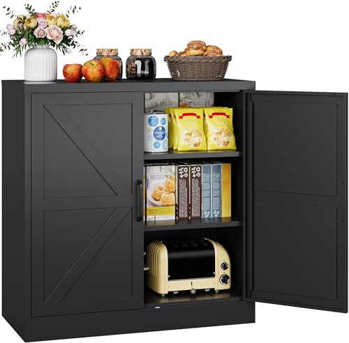 Black Storage Cabinet with Doors and Adjustable Shelves