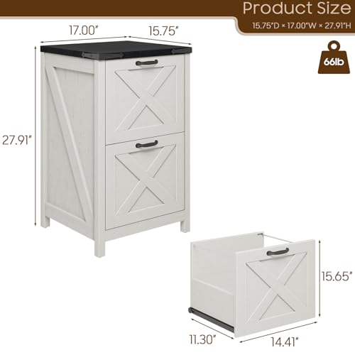 Vertical File Cabinet with 2 Drawers
