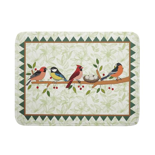 Spring Dish Drying Mat for Kitchen Counter Cute Bird Summer Super Absorbent Reversible Microfiber Kitchen Countertop Protector Dishes Pad Large 18x24 inch