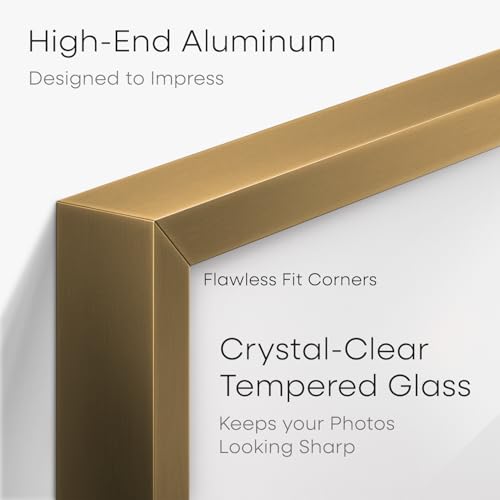 5x10 Bronze License Frame