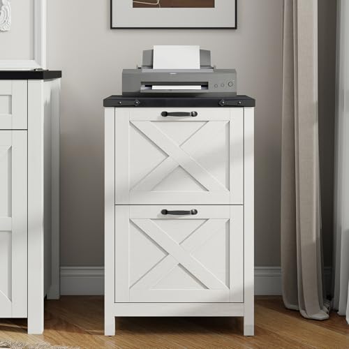 Vertical File Cabinet with 2 Drawers