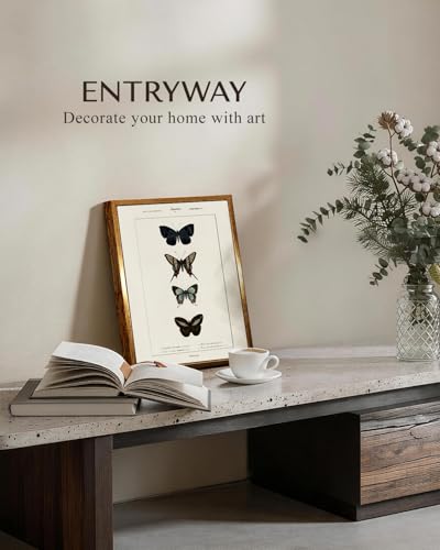 Vintage Four Butterfly Gold Framed Halloween Wall Art