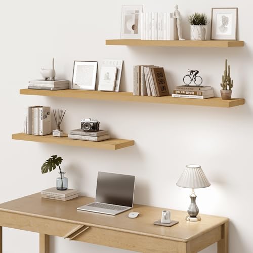 10 in Deep Floating Shelves 16” Set of 2 (2 Count)