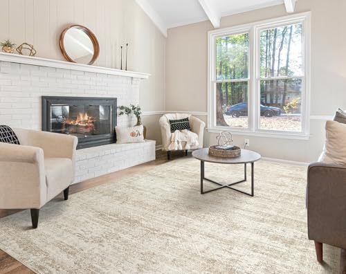 6x8 Area Rug Living Room Rugs