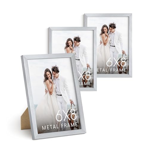 6x8 Silver Metal Picture Frames