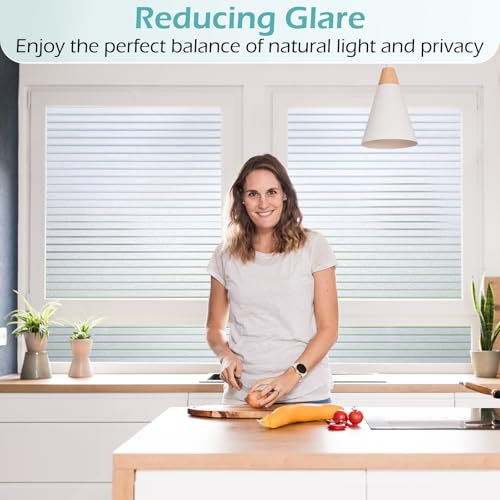 Window Privacy Film (38.75 Sq Ft)