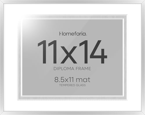 11x14 Silver Diploma Frame