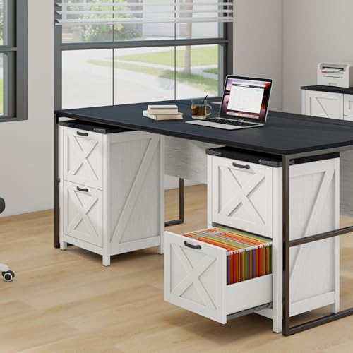 Vertical File Cabinet with 2 Drawers