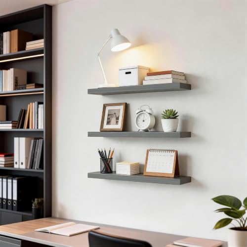 Floating Shelves for Wall