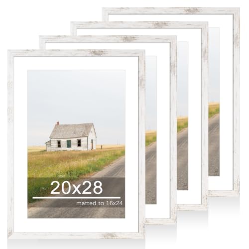 20x28 Picture Frame Set of 4