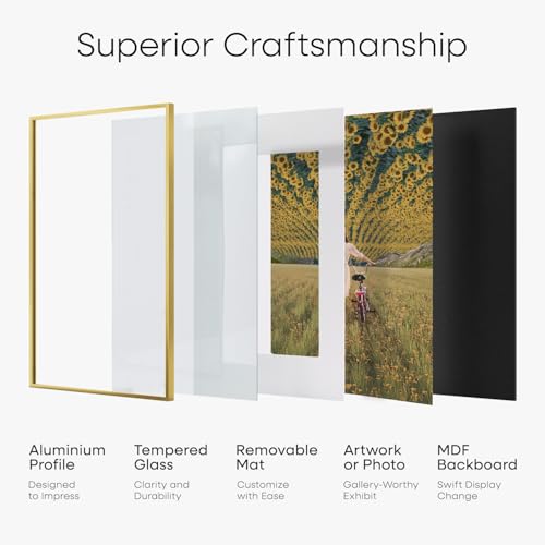 15x18 Gold Diploma Frame (2 Count)